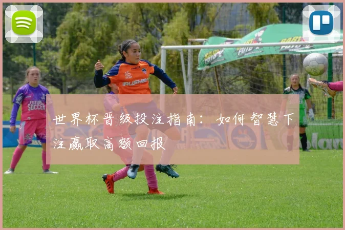 世界杯晋级投注指南：如何智慧下注赢取高额回报