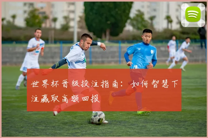世界杯晋级投注指南：如何智慧下注赢取高额回报