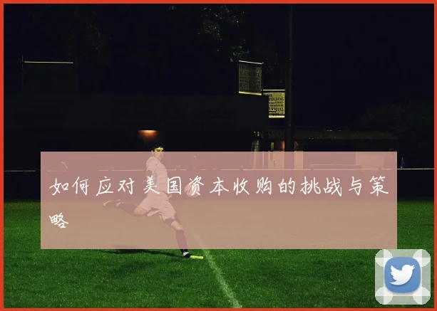 如何应对美国资本收购的挑战与策略